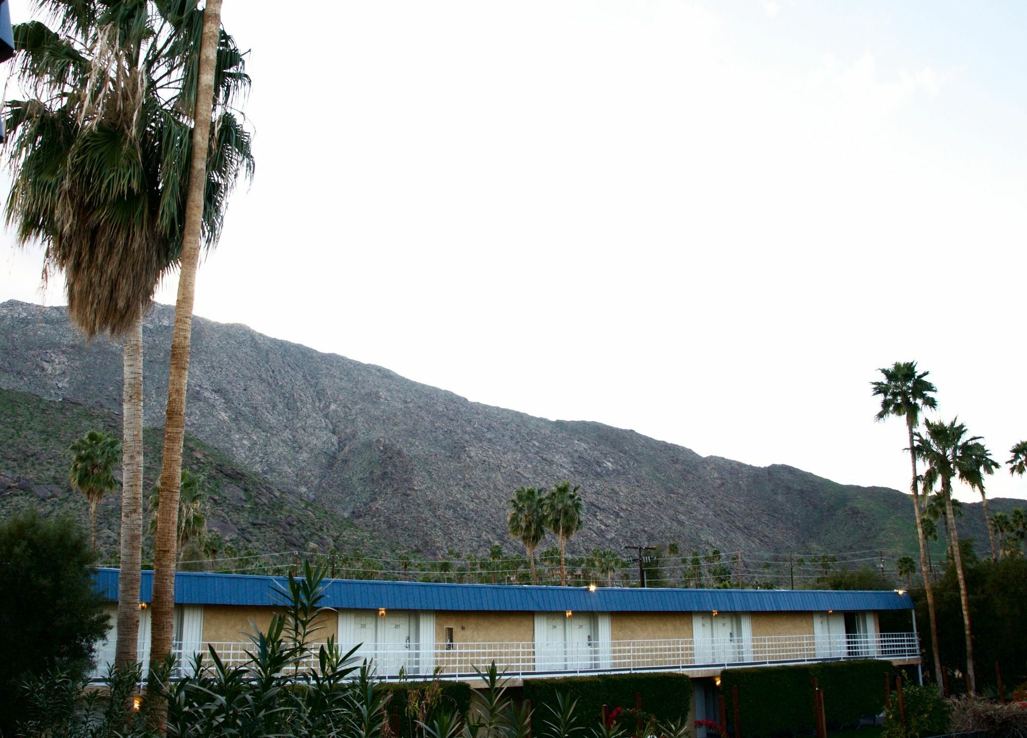 Motel Delos Reyes Palm Springs Extérieur photo